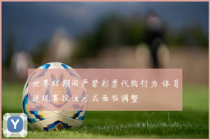 世界杯期间严禁彩票代购行为 体育迷观赛投注方式面临调整