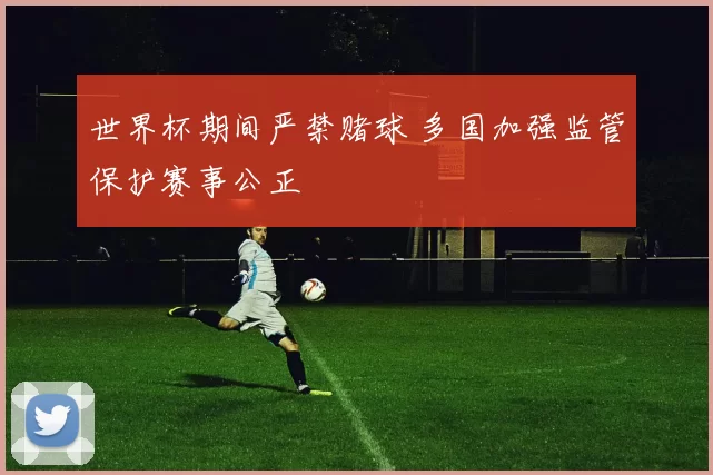 世界杯期间严禁赌球 多国加强监管保护赛事公正